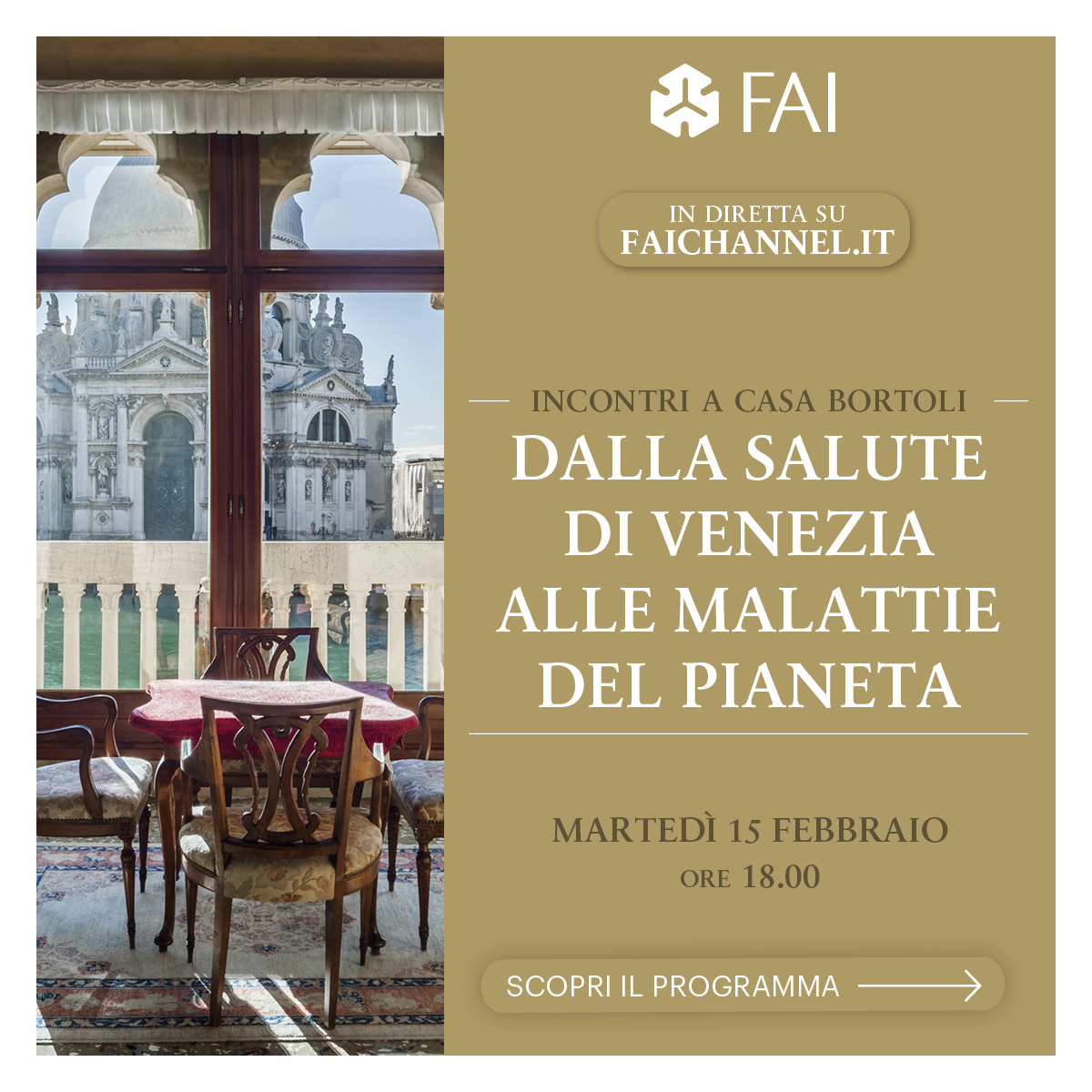 FAI tweet media