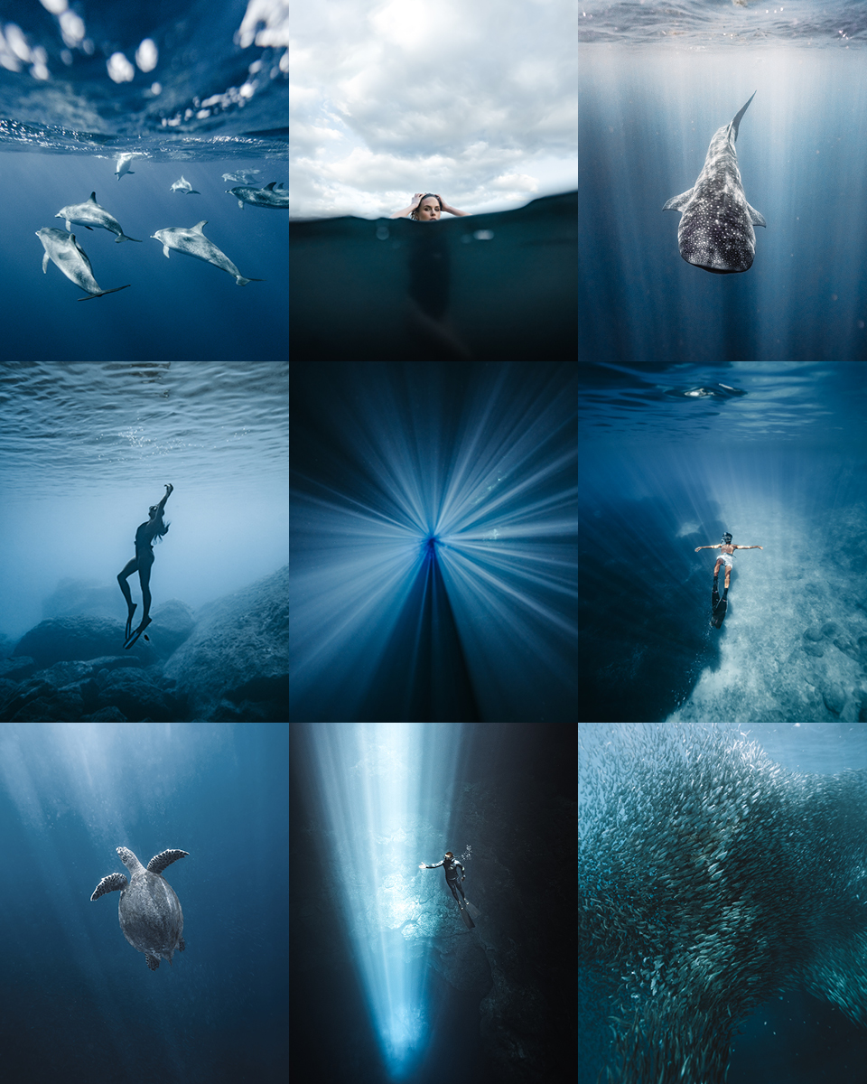 Some of my favourite underwater photos I've taken since purchasing a housing for my camera in 2020. 

Shooting in the water presents a whole host of challenges to overcome often making me think "Shooting on land is so easy!" 

Excited to create more.