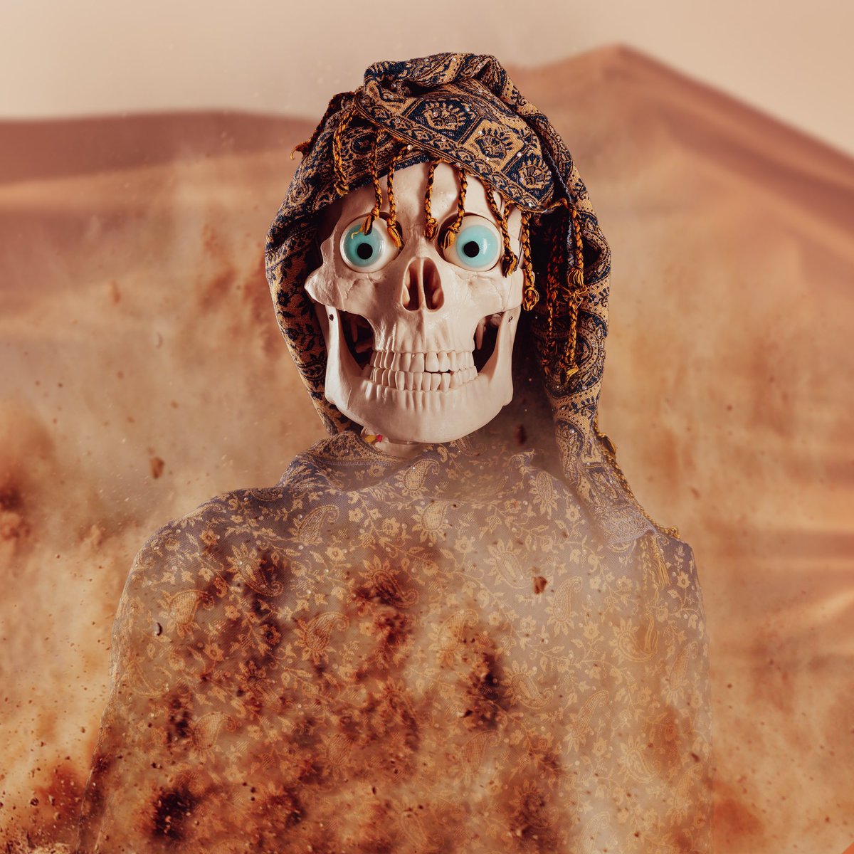 RSC_NFTs's tweet photo. Karl #005 loves to build sandcastles 

https://t.co/23NSKVjsT1

#nft #NFTs #NFTCommmunity #nftcollector #nftopensea #realskeletonclub #realshotclub #NFTcollectibles #NFTdrop https://t.co/rOW05LiGCV