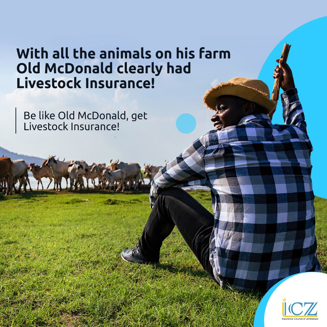 InsuranceZw's tweet photo. Livestock Insurance is the way to go if you have animals on your farm. Get in touch with a local short term insurer of your choice and secure your livestock investment today! #agriculture #insurance https://t.co/pa7M4qU3Ya
