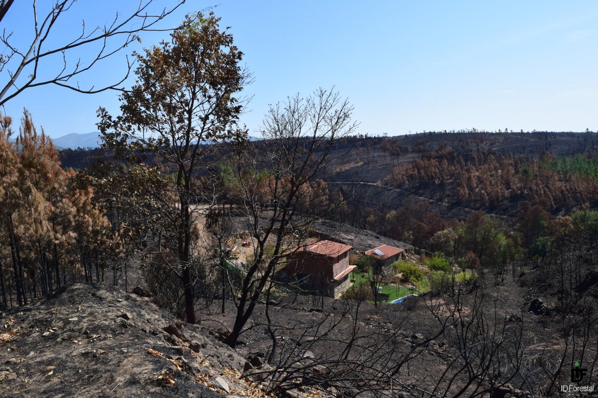 idForestal's tweet photo. Aunque la noticia es de hace algunos días... ¿Cómo recuperar el terreno tras un #incendioforestal?  A través de "técnicas como el #mulching o el #helimulching, en función de si los trabajos se hacen en áreas accesibles a pie o en zonas de fuerte pendiente" https://t.co/x6RVTPAzFI https://t.co/lWMbBHUcGe