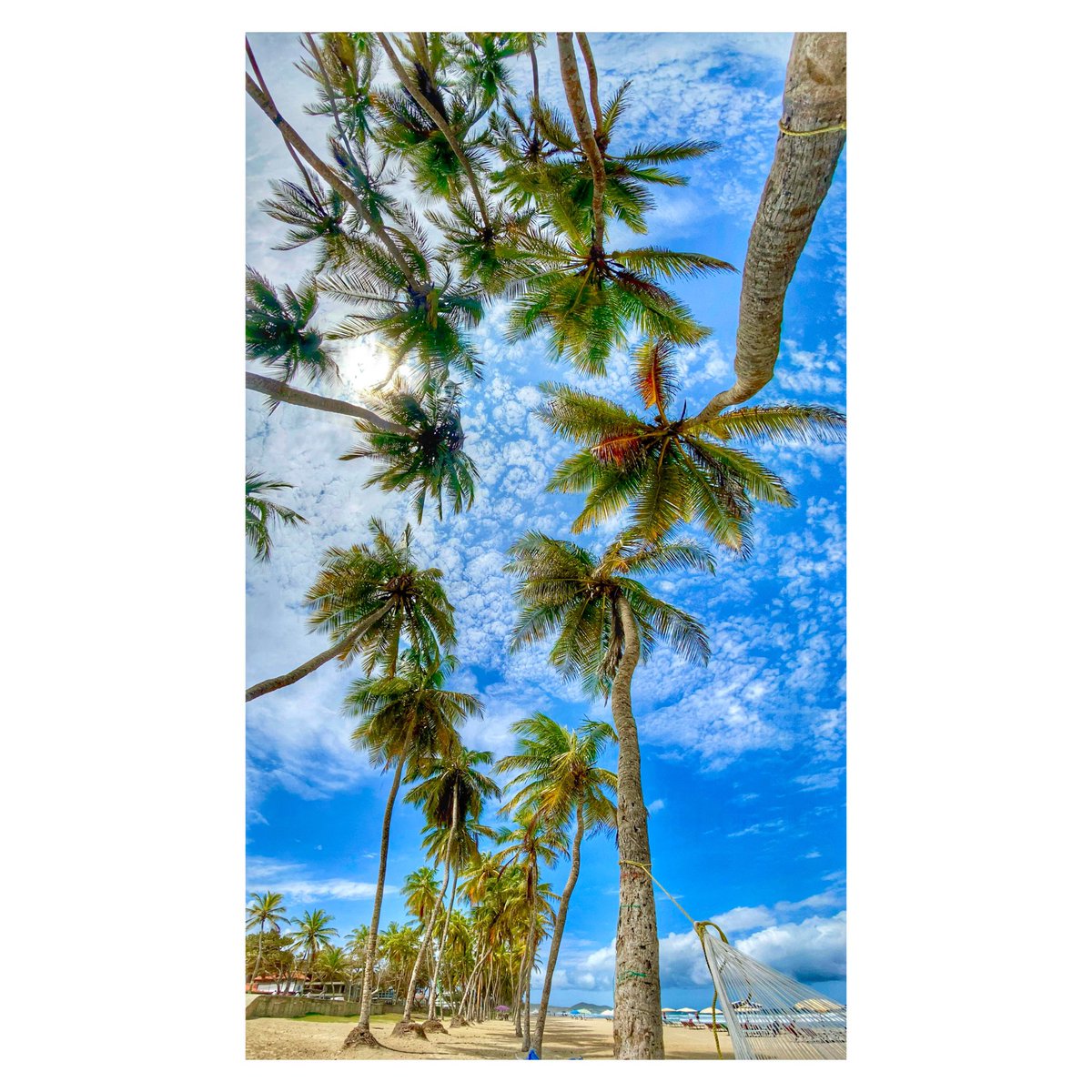 s_dimate's tweet photo. #sdlfoto #sdimate #NuevaEsparta #clickclickclick 😎 https://t.co/pl83ppkl7d