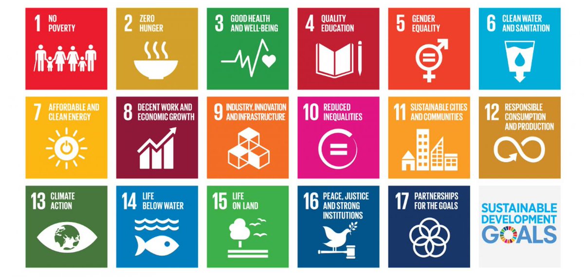 𝗗𝗨𝗨𝗥𝗭𝗔𝗔𝗠𝗛𝗘𝗜𝗗𝗦𝗗𝗢𝗘𝗟𝗦𝗧𝗘𝗟𝗟𝗜𝗡𝗚 – Duurzame steden en gemeenschappen. Duurzaamheid is een belangrijk thema voor Qredits. We focussen ons op 4 speerpunten. Zo leveren we onze bijdrage aan de Sustainable Development Goals (SDG’s) van de Verenigde Naties.