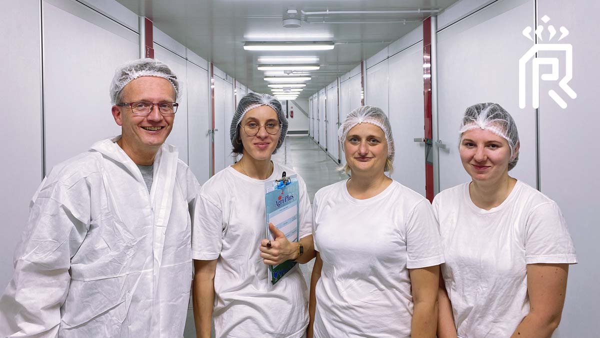 Royal Pas Reform tweet media