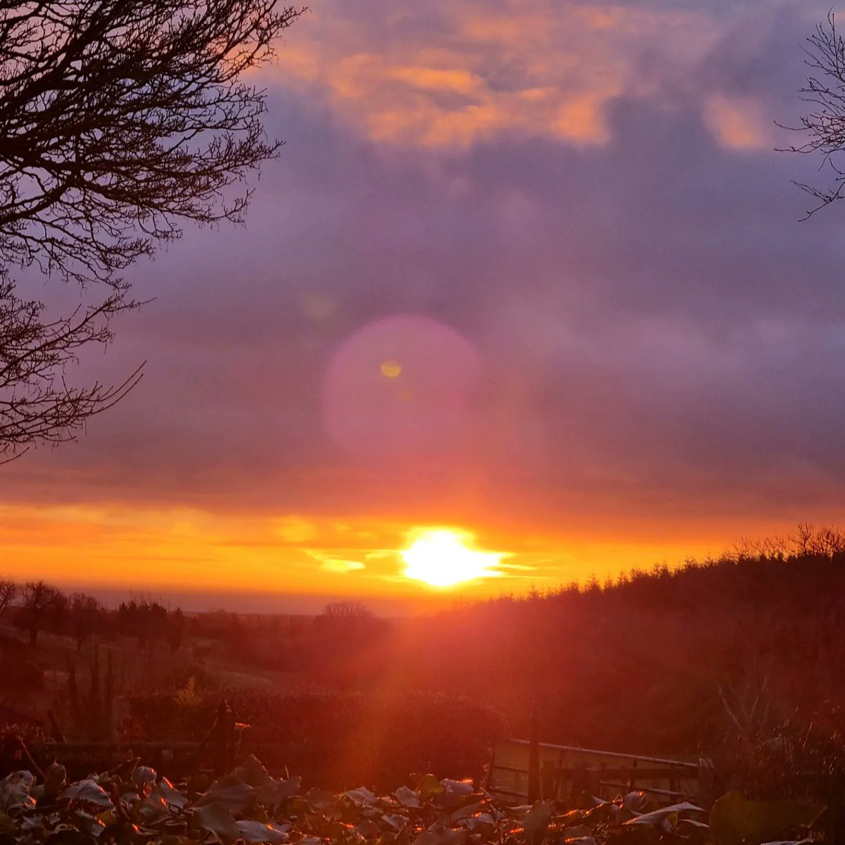 Kilmullen Farm tweet media