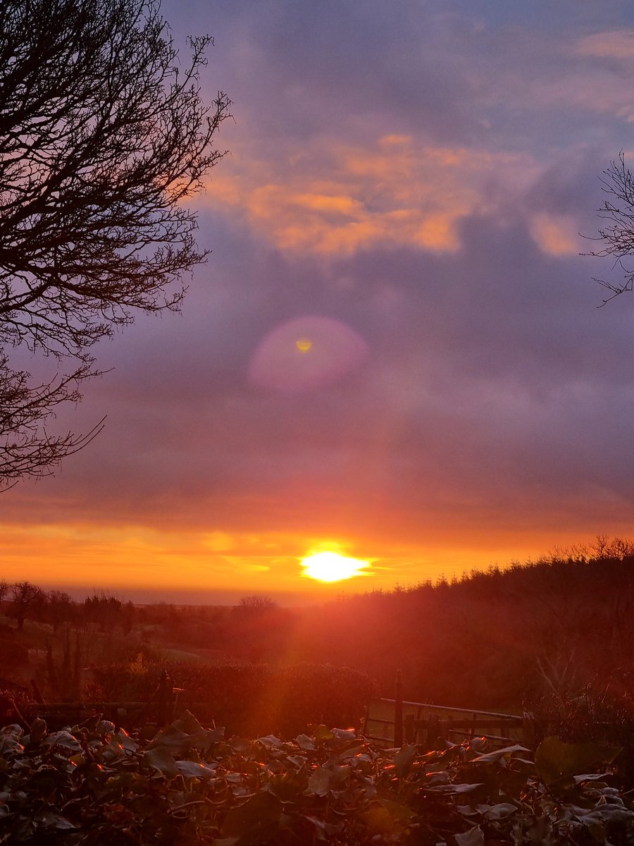 Kilmullen Farm tweet media