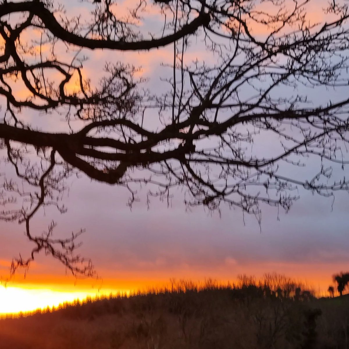 Kilmullen Farm tweet media