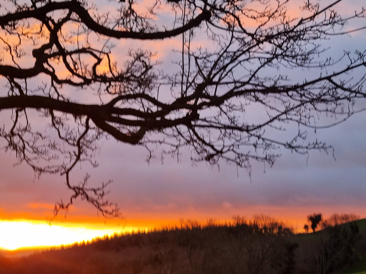 Kilmullen Farm tweet media