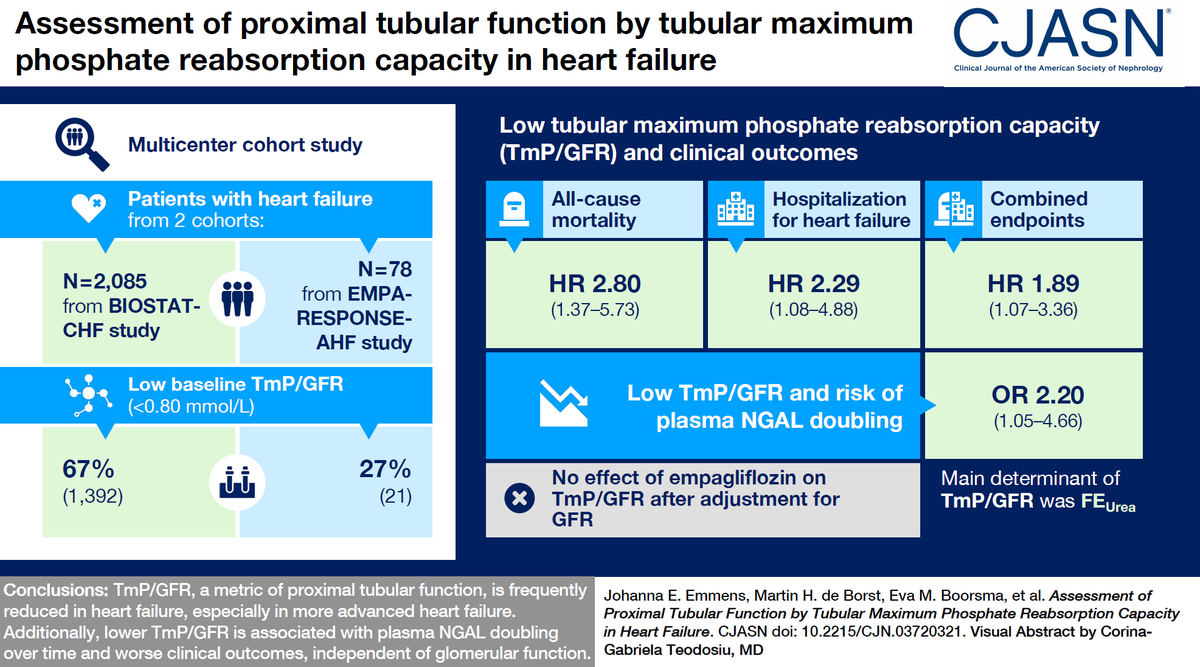 AdriaanVoors's tweet photo. Now online a nice paper from Lisa Emmens, MD, PhD on an interesting novel biomarker of renal proximal tubular function in patients with heart failure. Of potential use to establish response to SGLT2-inhibitors? https://t.co/KXx46z5Bxz