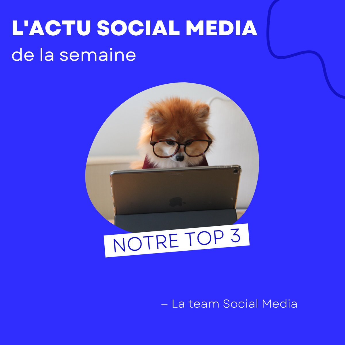 Softeam Agency tweet media