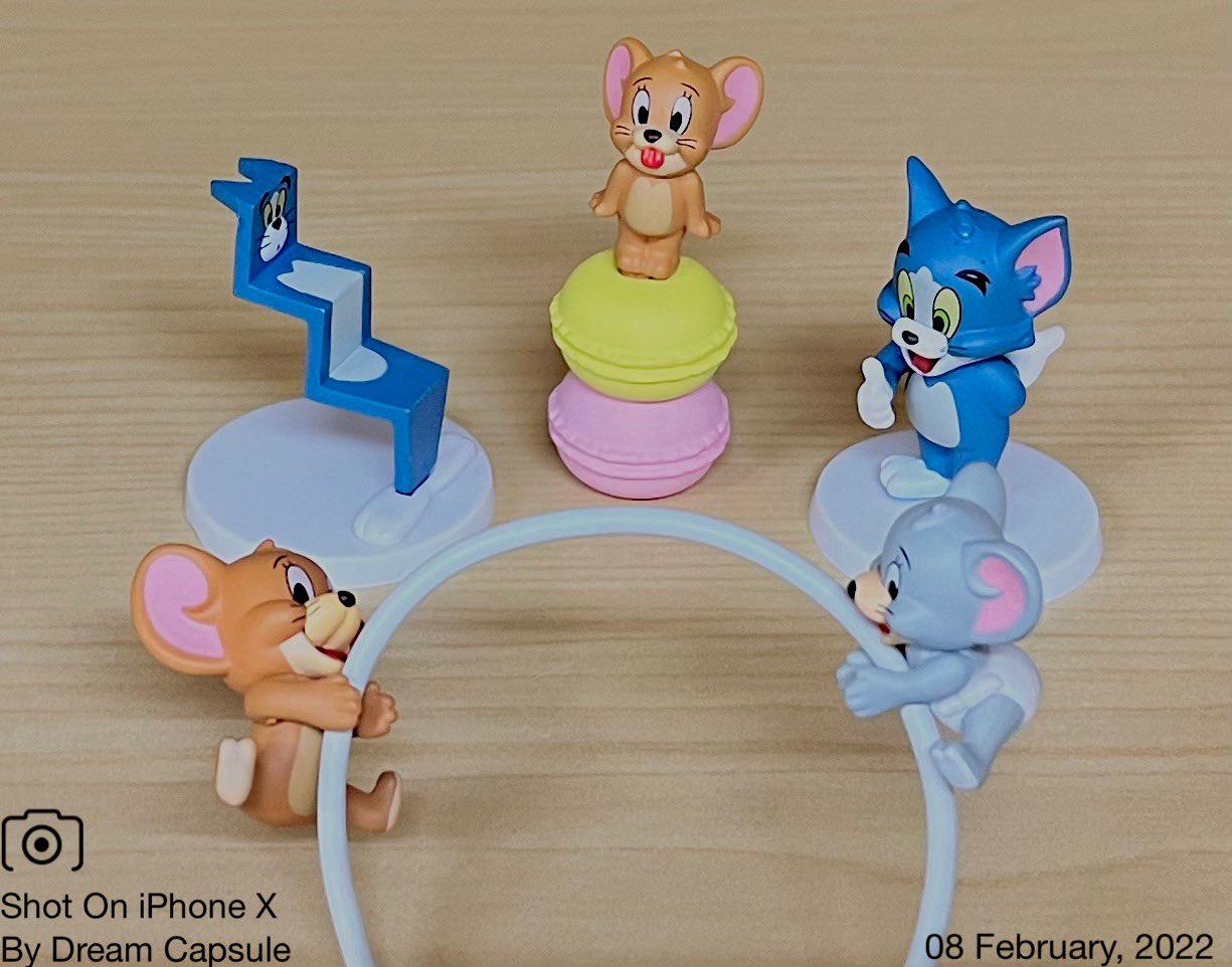 タフィー Twitter Search Twitter