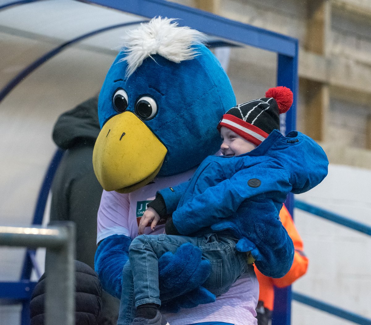 Bluey the Bluebird tweet media