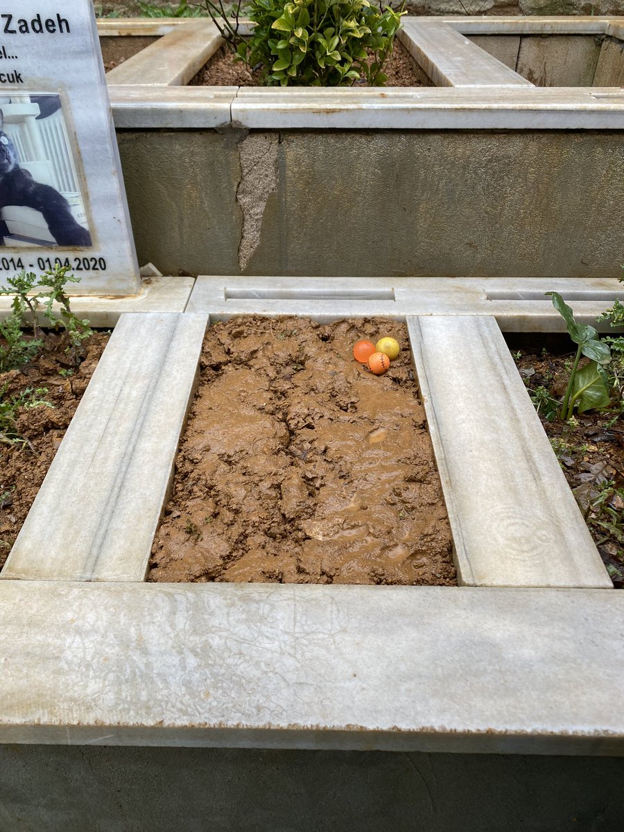 Annem sen suyu çok severdinnnn. Bu gün yağmur senin için yağdı. Yosun gözlüm mis kokulum. Kalbimi de gömdüm seninle oraya meleğimmmm🕊🥀