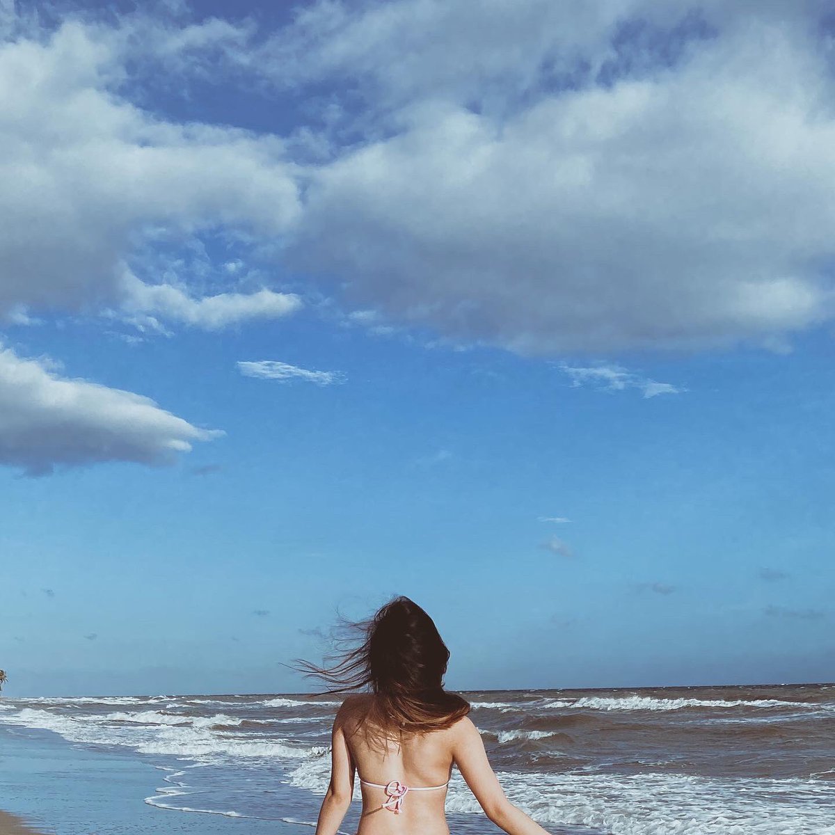 lavambery's tweet photo. Best escape anyone can have 🤎 https://t.co/X5VUQMqp20