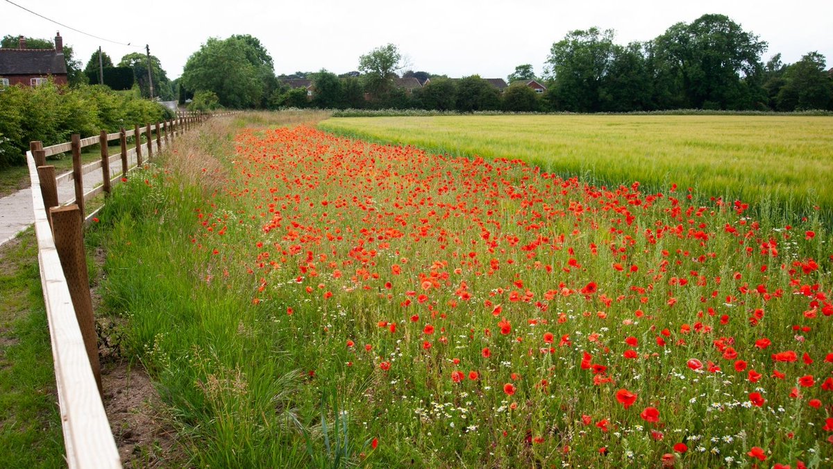 NFUtweets's tweet photo. Have you made your pledge to reach net zero emissions on farm? 🌍
Join the hundreds of farmers that have joined our pledge, check out this month's winners and be in with a chance to win a solar light 👉 https://t.co/cI3a6gqwel
#Pledge2040 #BackBritishFarming 🇬🇧👨🌾 https://t.co/7St9cXDsua