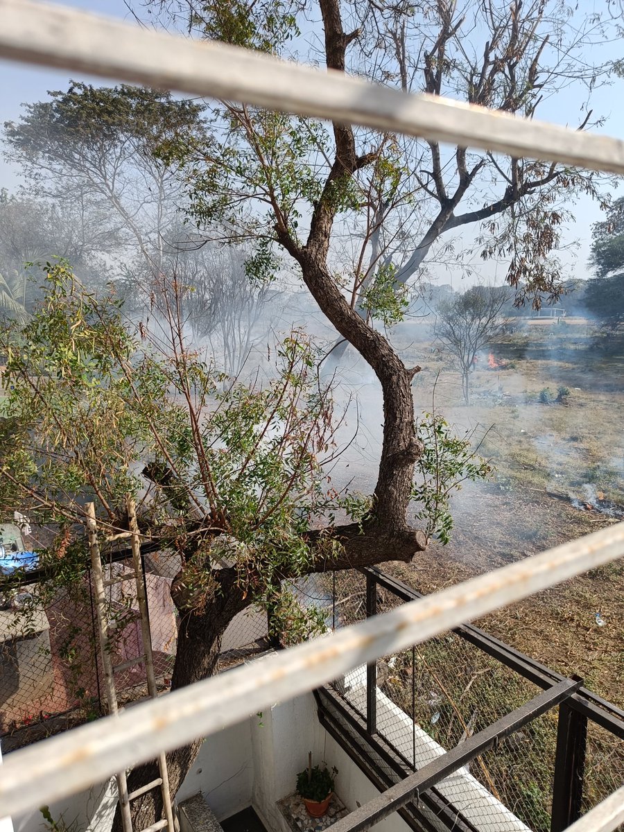 rsutaria's tweet image. Burning happening every Sunday morning at Spicer College in Pune. Contractor clearing the ground chooses to burn the dry waste every single week. Happening right behind @urbansciencesIN HQ in Pune. 

Children &amp;amp; old people living 10 meters from these. Triggering Asthama attacks.