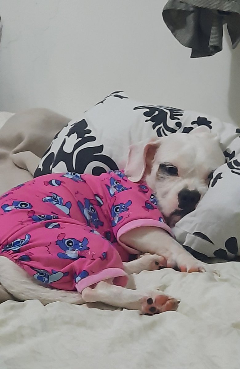 darlenealya's tweet photo. dahil di pa dumadating pink shirt ko, si hanna na lang muna magflex ng pink onesie niya 

#KulayRosasAngKulayNgBukas https://t.co/nrw272uaKm