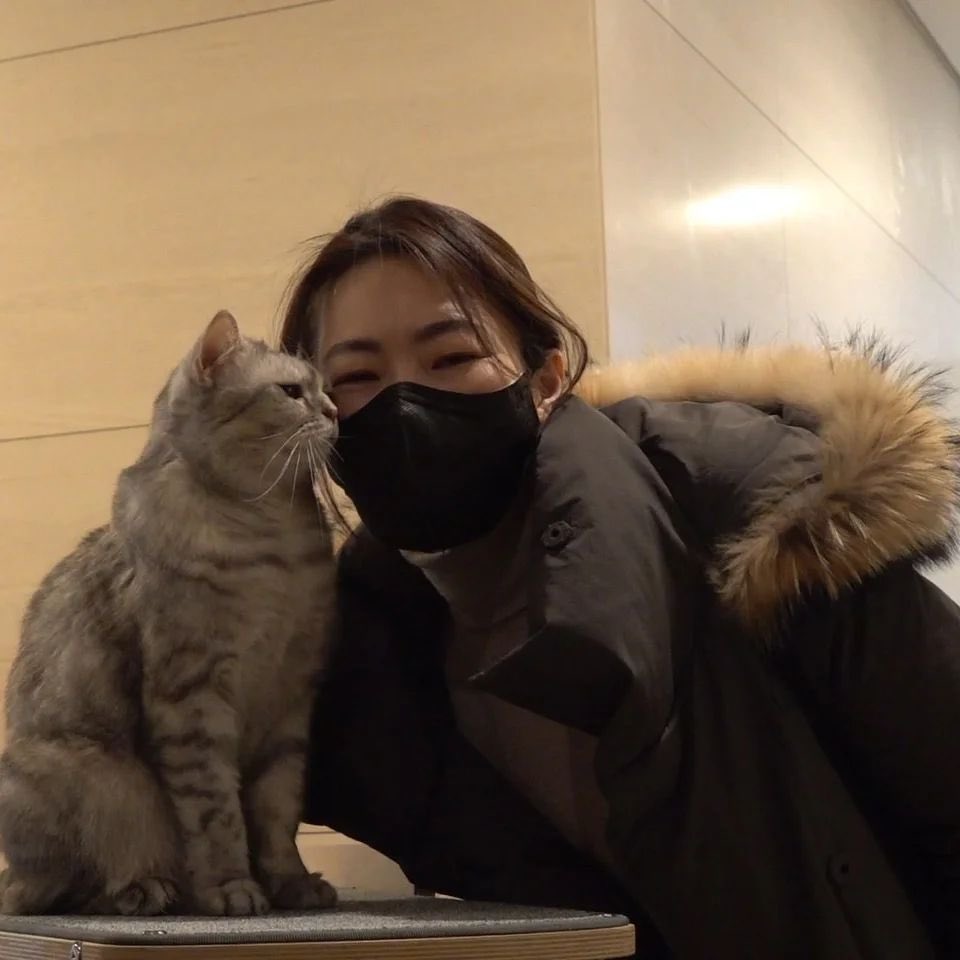 kittisaurus7's tweet photo. 출근길 티티랑 나랑
현관에 미니 캣타워를 가져다 두었더니 매일 아침 뽀뽀를 할 수 있게 되었어요! ❤

#티티사랑해 #티티뽀뽀 #이야옹이야옹
#야옹섬 #크집사 https://t.co/Lws5N0QNLp