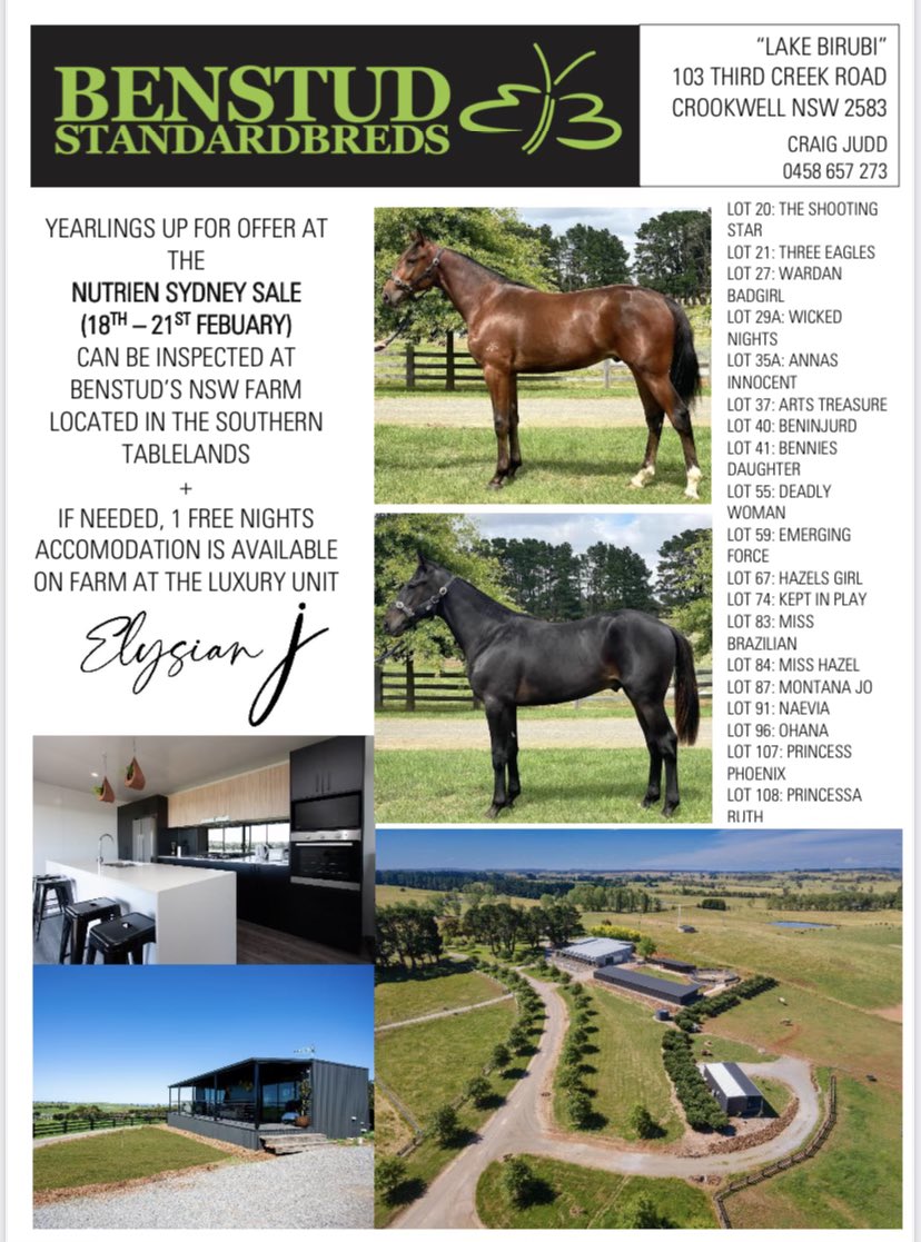 BenstudStandardbreds (@benstuds) on Twitter photo Inspect our fantastic draft of 2022 <a href="/NutrienEquineSB/">Nutrien Equine Standardbred</a> Sydney sale yearlings here at Benstud NSW 🦋
#buyabutterfly Inspect our fantastic draft of 2022 <a href="/NutrienEquineSB/">Nutrien Equine Standardbred</a> Sydney sale yearlings here at Benstud NSW 🦋
#buyabutterfly