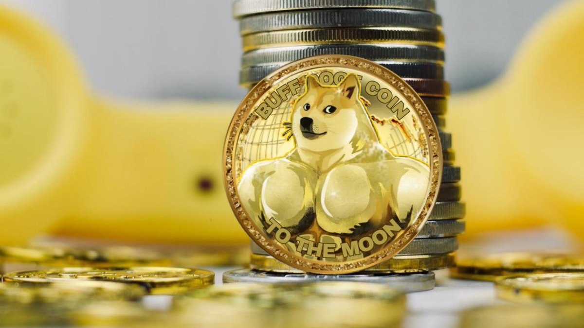 Anideden09's tweet photo. @buffdogecoin #BuffDogeCoin #BuffDogeCoinArmy 🔥🔥🔥🔥 https://t.co/TGFVr7eN8q