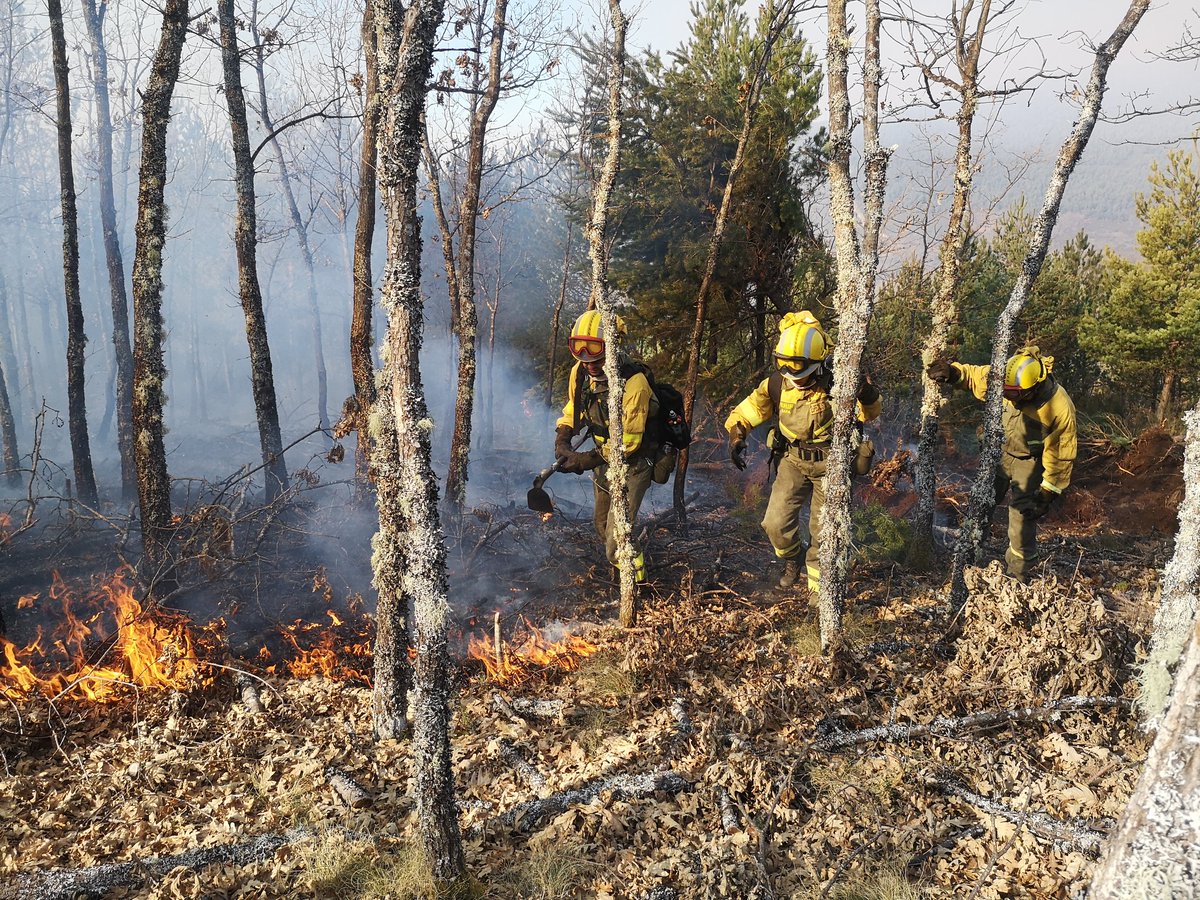 AT_Brif's tweet photo. 12:05📸#IFToreno #LeónESP
#BLP @briftabuyo se encuentra trabajando en labores de extinción en incendio forestal de Toreno junto a #ELIF Cueto+🚁Lima3+🚁MZ4B+🚁KZ9 Tabuyo+🚜DELTA @EMIF_IIFF
#IIFF
Ánimo a todos los medios!
Somos #BRIF de @mitecogob https://t.co/6CE2YFEPuO