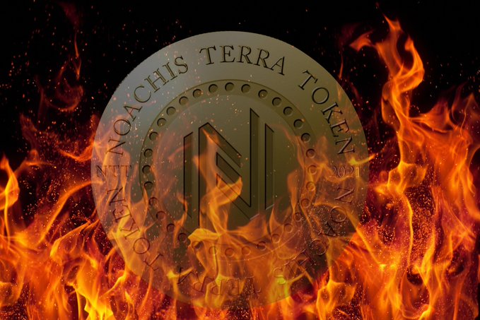 Noachis Terra tweet media