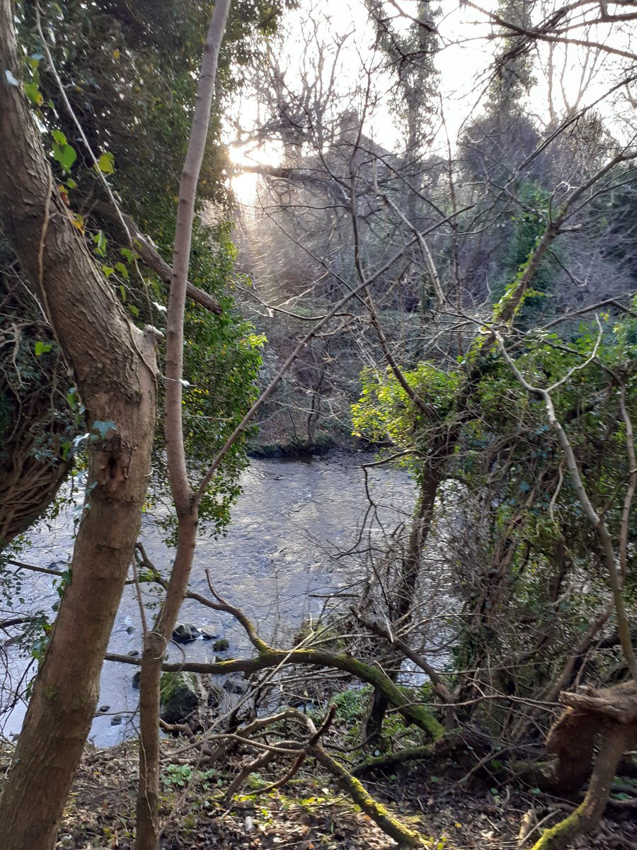 Just after 8 this morning,all quiet down the Dell #ColintonDell #Spylaw #JuniperGreen #Edinburgh
Countryside in a city.#AuldReekie 
@WOLCT #SouthWestEdinburgh