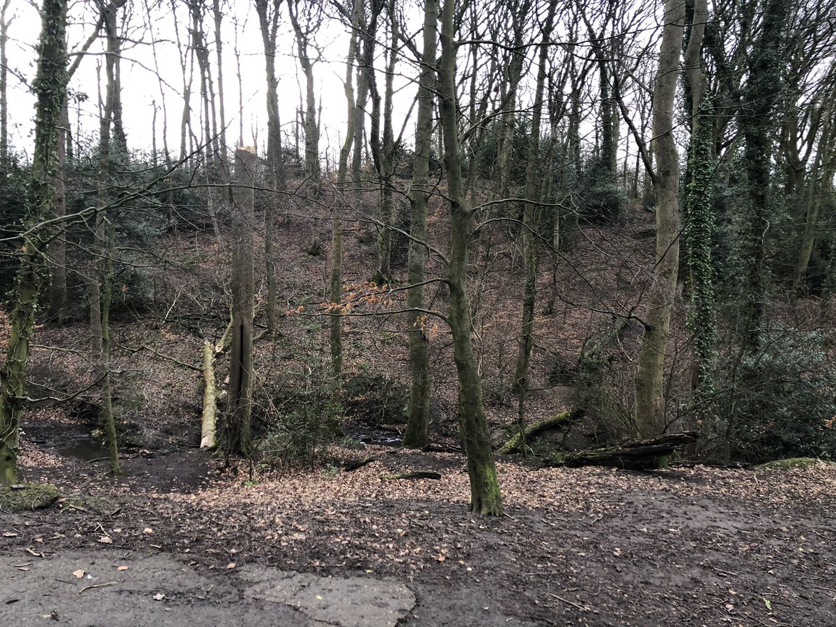 rainbowchaser79's tweet photo. 6 miles walking through the local woods with my #GigWife this morning.
We had a #BriewWithAView then a #WispaWithAVista and sorted out our accommodation for our next gig.
Not bad for a couple of hours. https://t.co/73yiwJYjaO