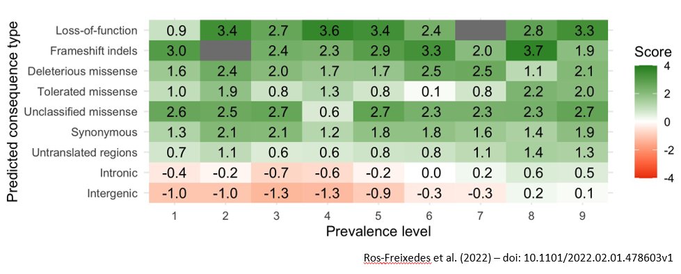 Roger Ros tweet media