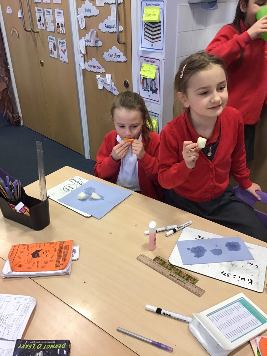 Year 3 Yorke Mead tweet media