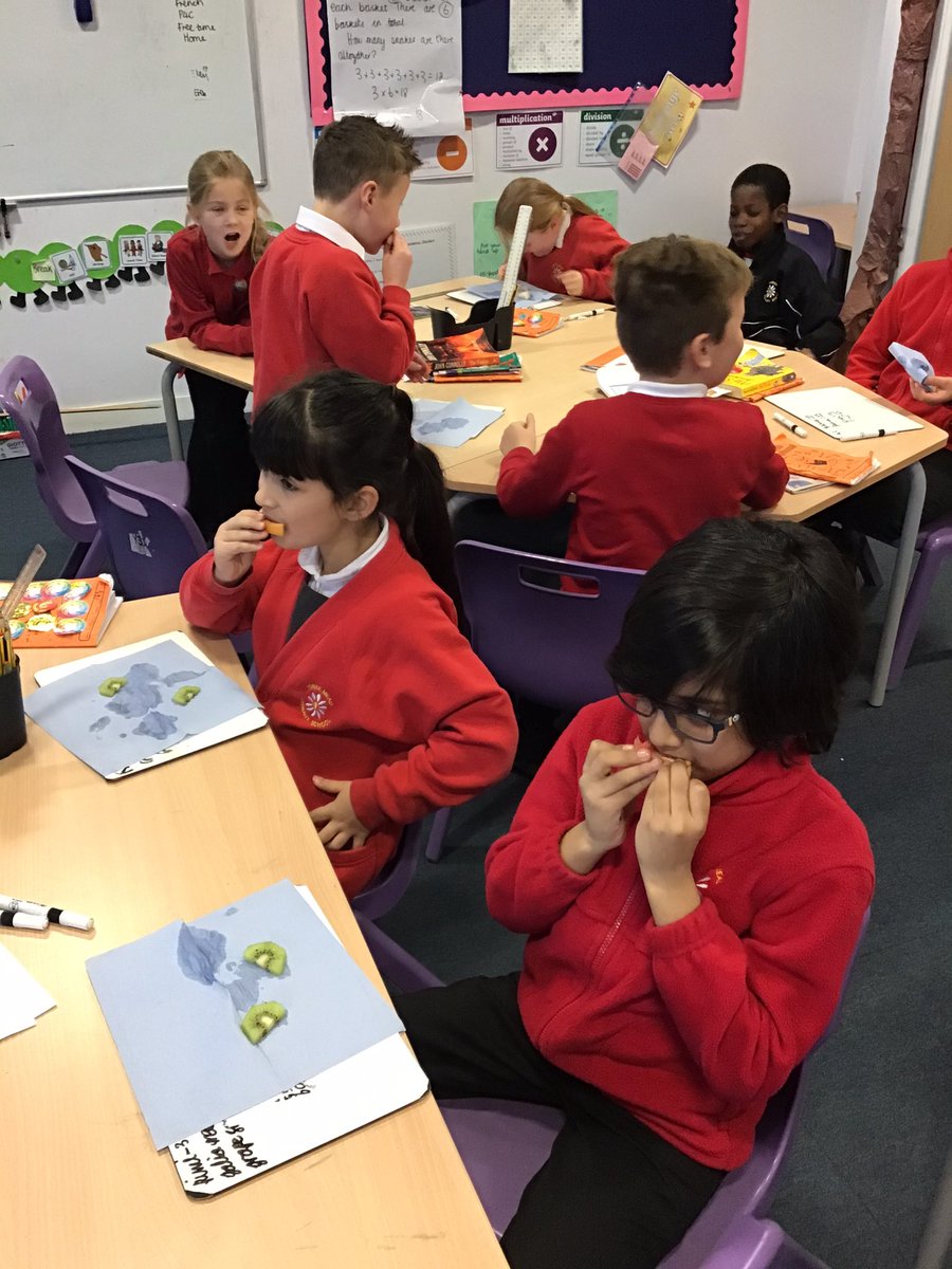 Year 3 Yorke Mead tweet media