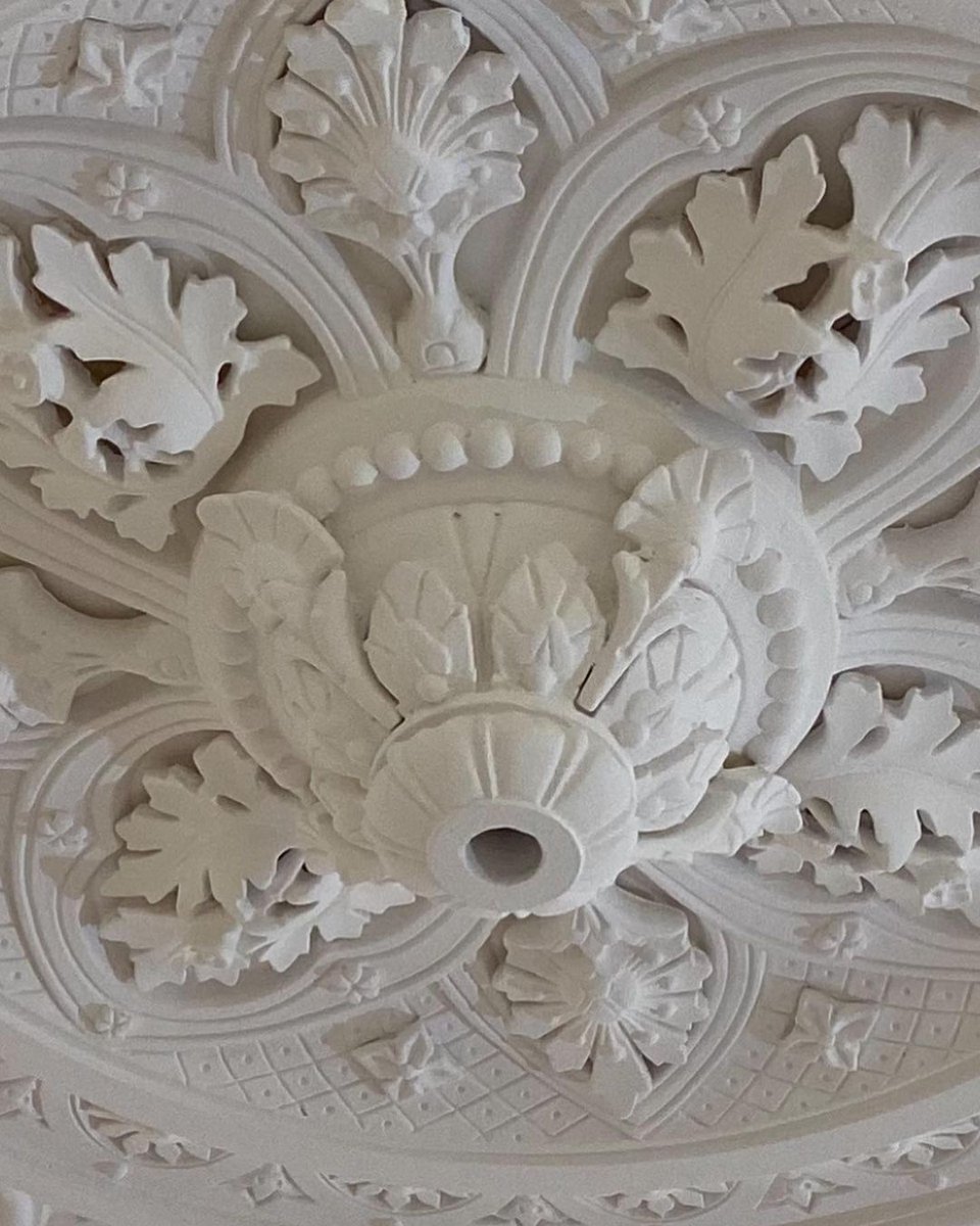 CSJbespoke's tweet photo. Our Avondale ceiling 🥰 the detail on this rose is simply beautiful 😍 #bespokeplastermouldings #ceilingrose #plasterceilingrose #restoration #homeimprovement #diy #heritage #architects #heritagearchitecture https://t.co/KC1hGXw5dL