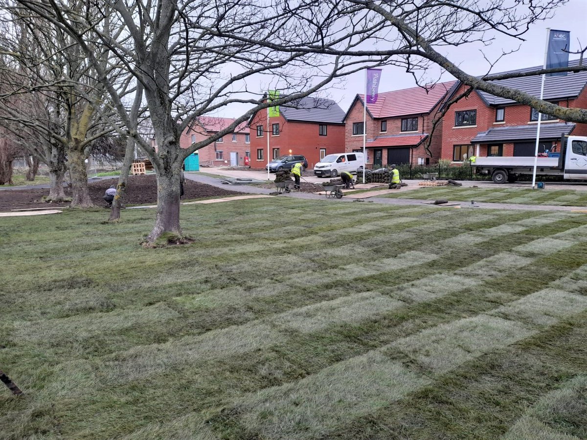 Amazing results achieved by one our soft landscaping teams who have been hard at work laying close to 2,000 square metres of turf to the public open space areas at Bellway Homes Jellicoe Gardens development #landscapeprofessionals