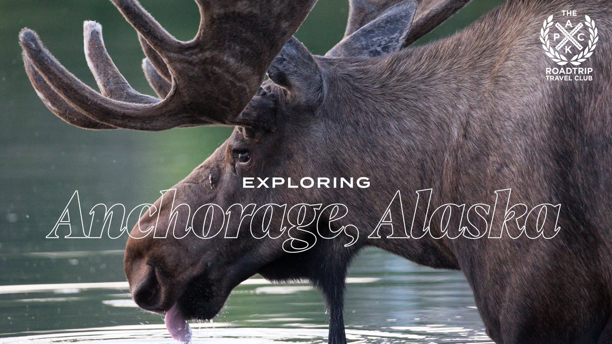RollWithDaPack's tweet photo. This week, we'll be virtually exploring Alaska largest city - Anchorage. We'll provide tips on things to see and do!! 

 #TravelTuesday #alaska #thepacktravelclub #rarelyhome #anchorage #wanderlust #getaway https://t.co/qzdl0aMnnX