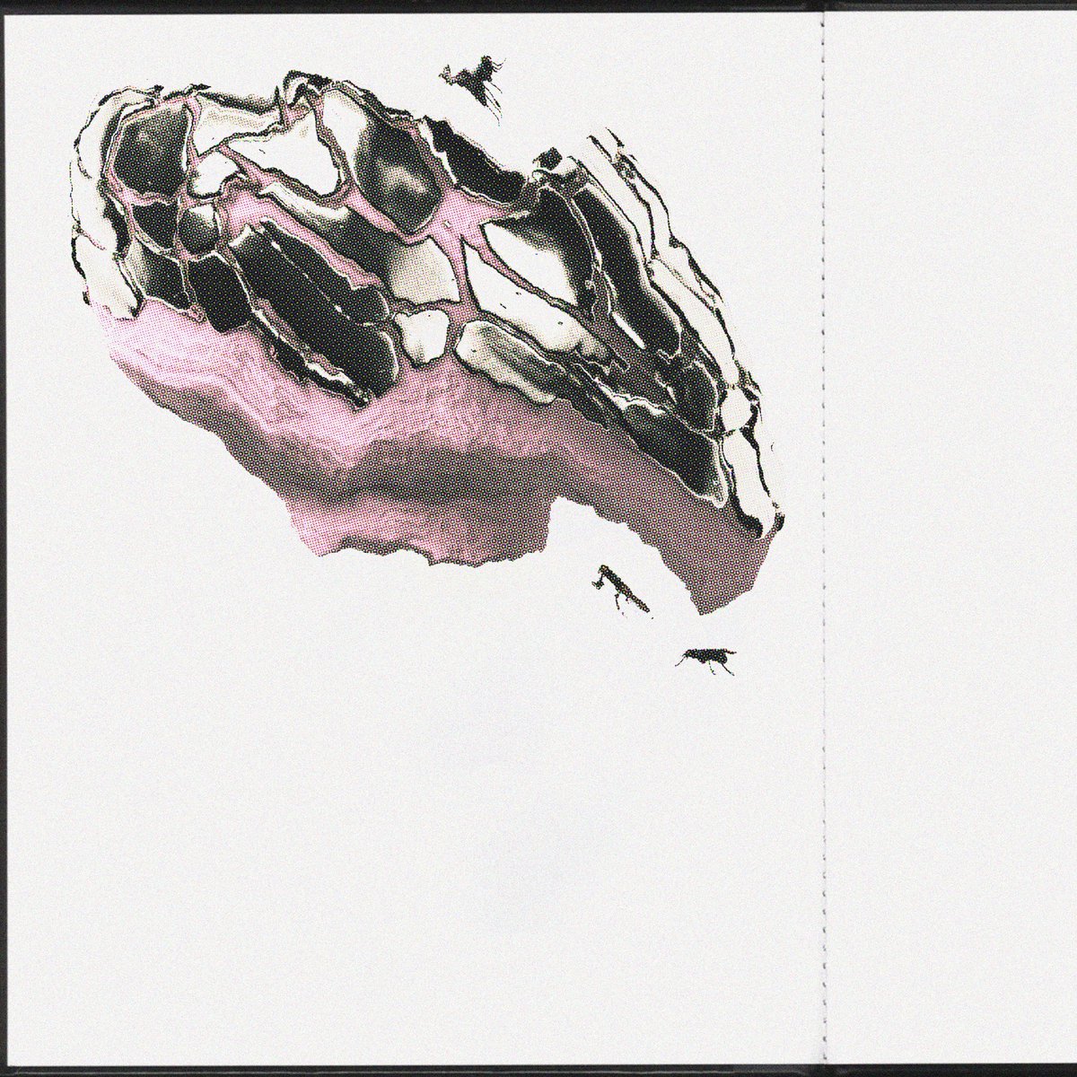 Diego Diapolo tweet media