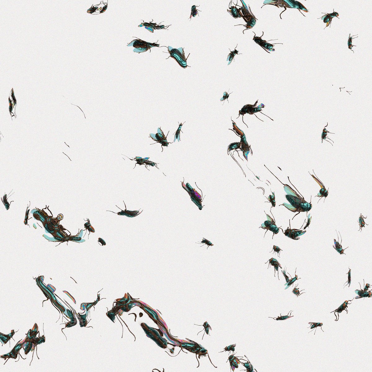 Diego Diapolo tweet media