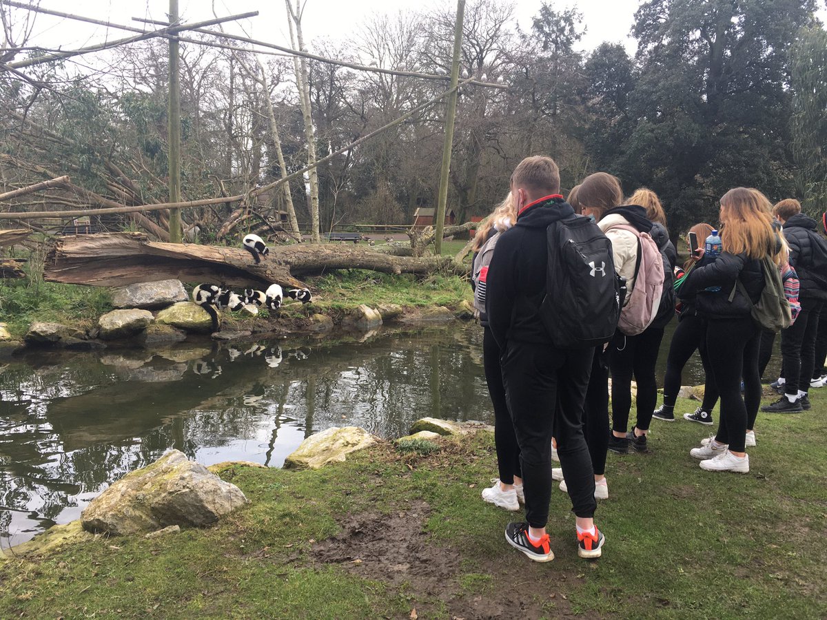 LiddaneNiamh's tweet photo. Lá iontach inné le B4 Rang Seán at Fota Wildlife Park. .🐆🦓🦒🦘🦬🌳. @GCLuimnigh https://t.co/yVXkSnXbrW
