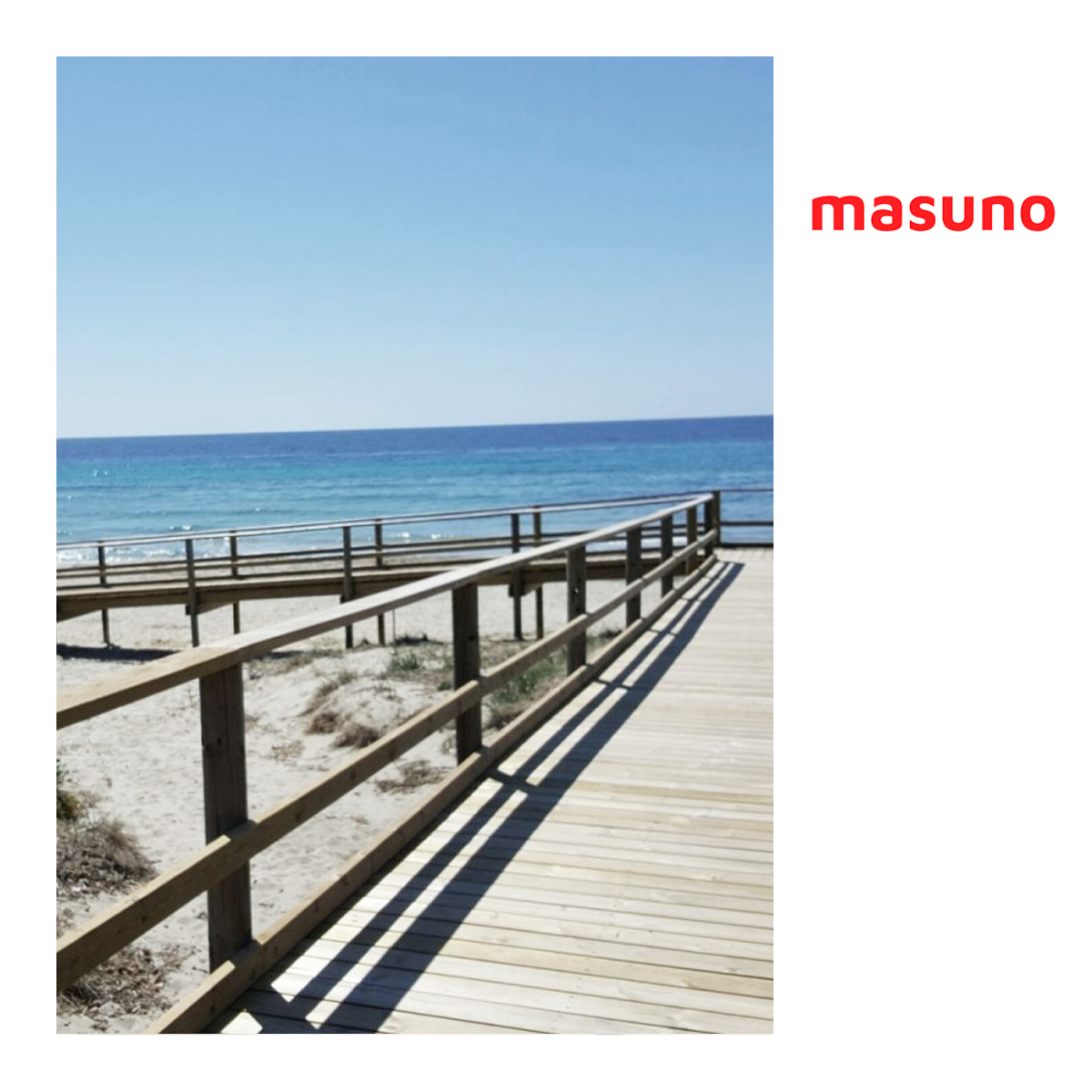 Masuno Soluciones tweet media