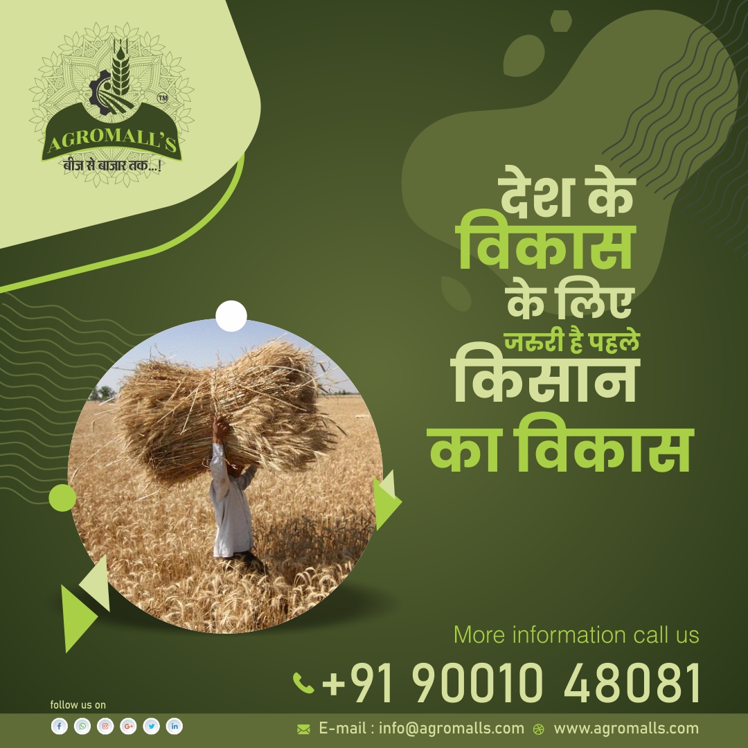 AGROMALL3's tweet photo. देश के विकास के लिए जरुरी है पहले किसान का विकास ...

We offer lesser prices than the standard market rates because we have a vast network of farmers who are directly connected with us.

Contact us 9001388751
info@agromalls.com
https://t.co/dNgZwIWr6u
#organicagriculture https://t.co/dBnTKU7Afa