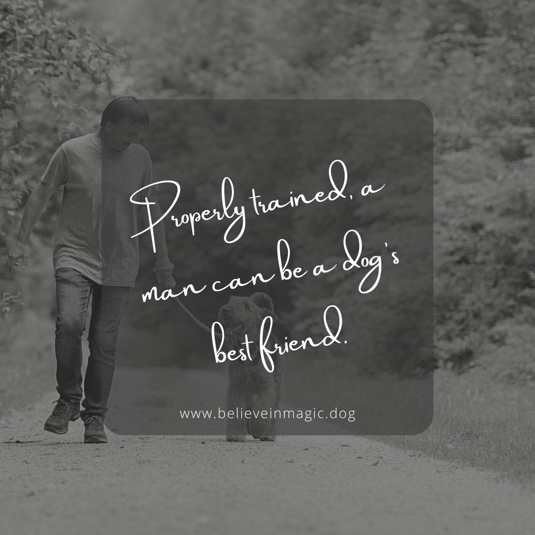 believeinmagicd's tweet photo. Properly trained a man can be a dog's best friend. 

We can all learn so much about what our unique dogs need by just listening to them. 

If you feel you'd like some extra support, check out our group classes. https://t.co/yaOcY0qPLO