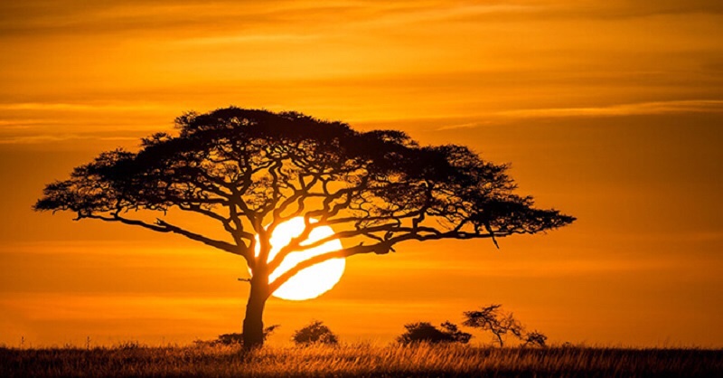 KennyBup tweet media