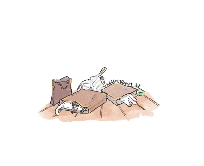 🐈月間。今日はかくれんぼ🐈寧としゃす🐈 