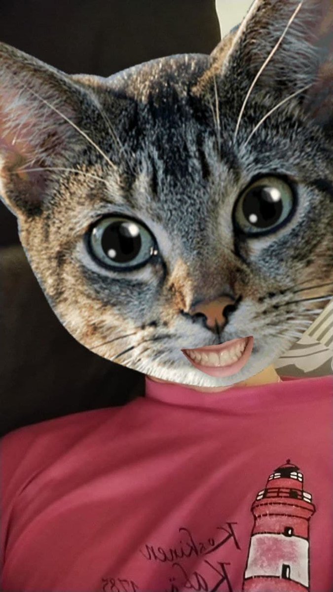 ServerlessC's tweet photo. Enjoy this cat picture! By @mavi888uy playing with #NoServerNovember https://t.co/QfC0X6d5JZ