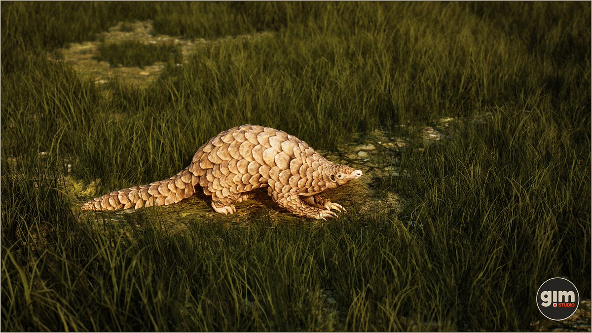 GiManimations's tweet photo. #pangolin #animalia #gameart #UnrealEngine #unity3d https://t.co/pKVvatX6N1