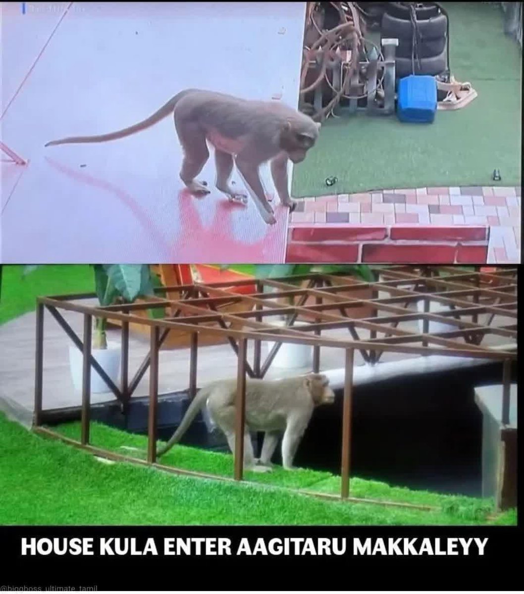 anupriya_a_m's tweet photo. Enada idhan wildcard entry a 🐒🙊#BBUltimate  #BiggBossUltimate https://t.co/au3inDeh1g