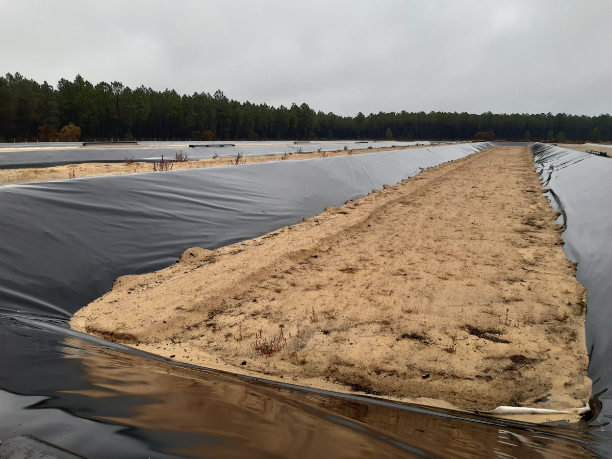 Spiebatignolles's tweet photo. [WE NEXT]
Transformer les sédiments en écoproduit ♻
Dans une démarche d'économie circulaire, Spie batignolles malet participe à la réalisation de chantiers expérimentaux sur la valorisation de sédiments en écoproduits dans les techniques routières. https://t.co/iw8QVkpLaE