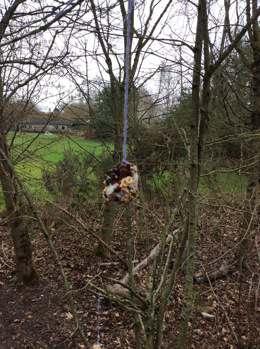 Mrs_AJones's tweet photo. A magical Forest School moment! A beautiful Robin landed on one of the pine cone feeders we had made and hung around the wood. The children were so excited! Nature is amazing! @MissCReception @FibParkAcademy @Natures_Voice https://t.co/PDxVvkMl8R