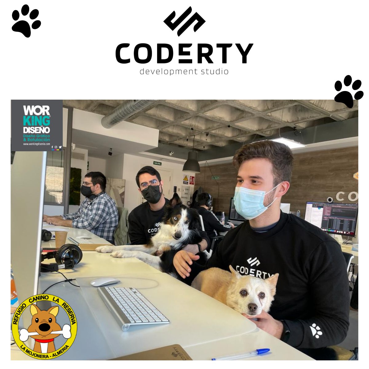 CodertyStudio's tweet photo. ¡Lanzamos nuestras sudaderas solidarias!🐶

El 100% de los beneficios serán para el @RefugioLaReserv y así aportar a la increíble labor que desempeñan

Con la colaboración de @workingdisenio 🤩

Para mas info o pedir la vuestra:
 📩 social@coderty.com

#adoptanocompres #mascotas https://t.co/o2kjT8LhVa