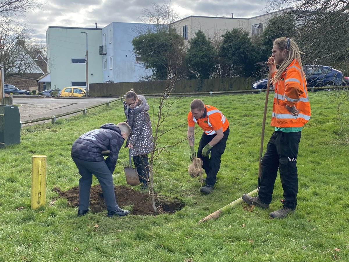 School Parliament are out today, planting trees at Parsonage Lane Park. Part of the tree replacement project.