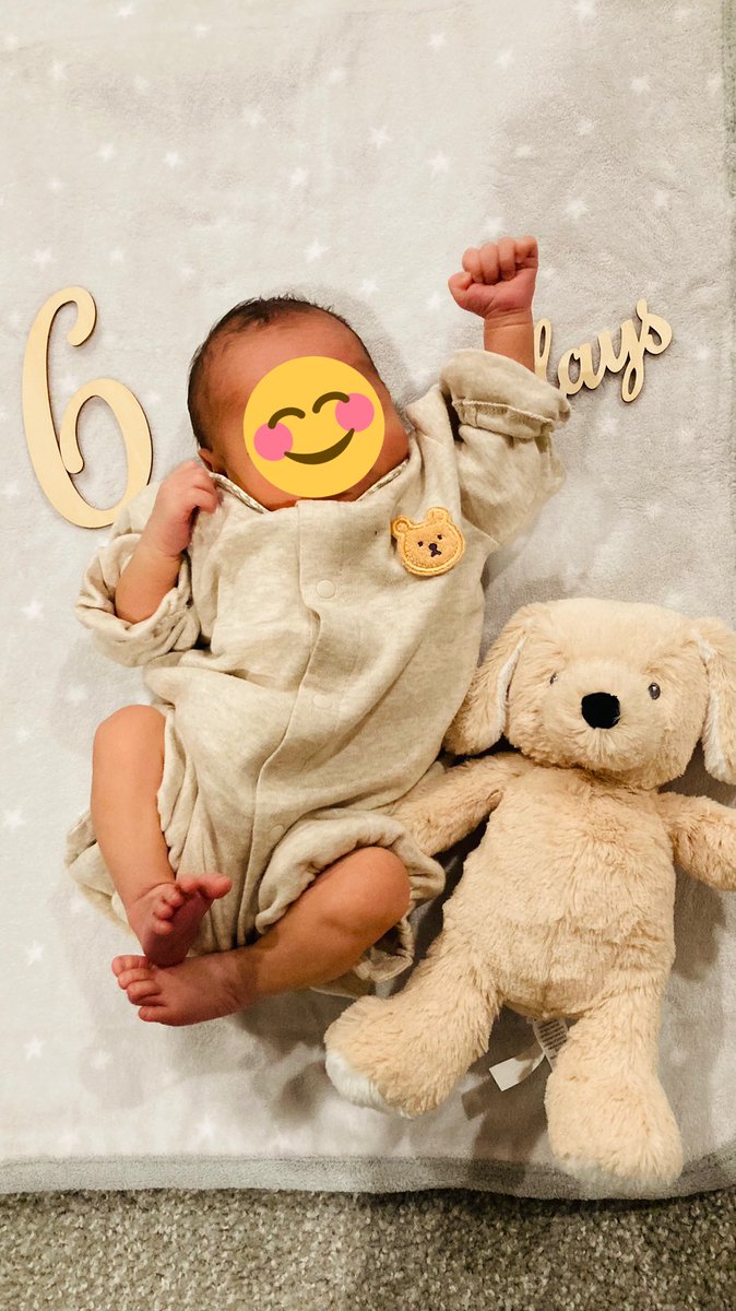 はーちゃん tweet media